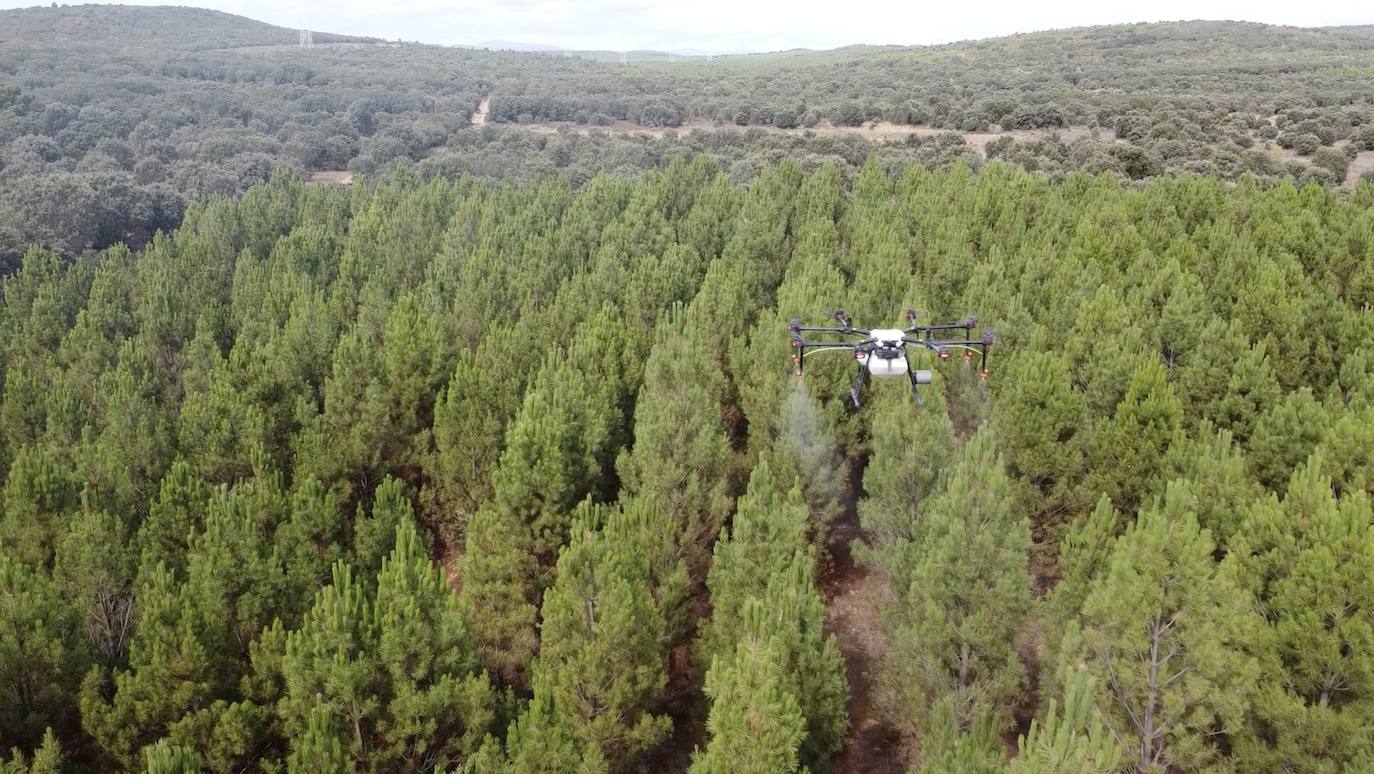 Baltor, drones contra la despoblación. 