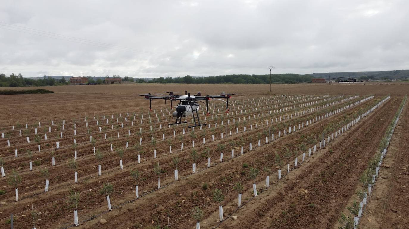 Baltor, drones contra la despoblación. 