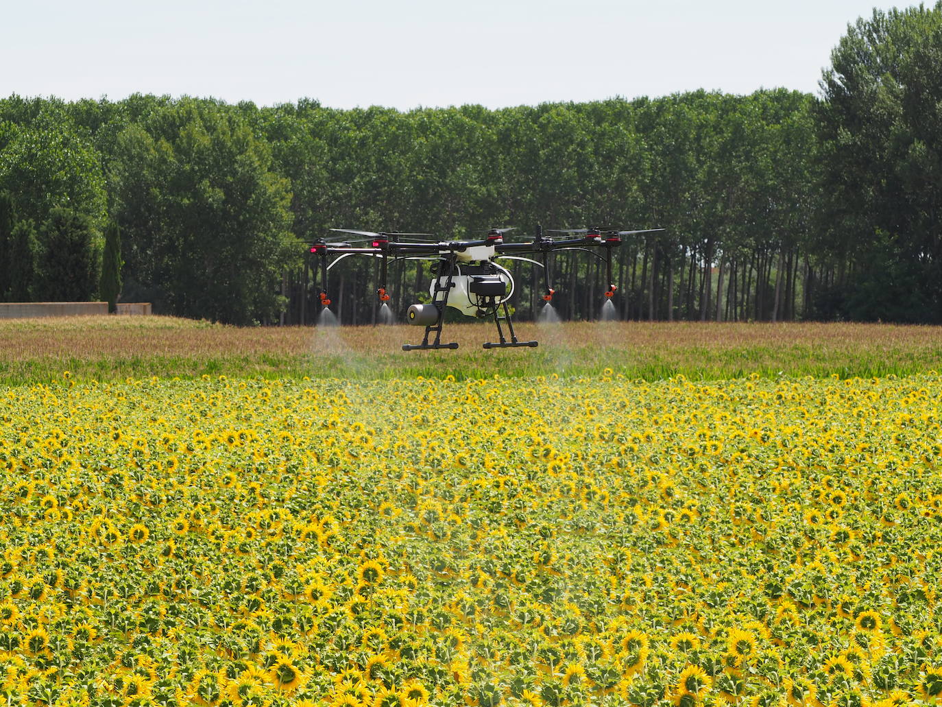 Baltor, drones contra la despoblación. 