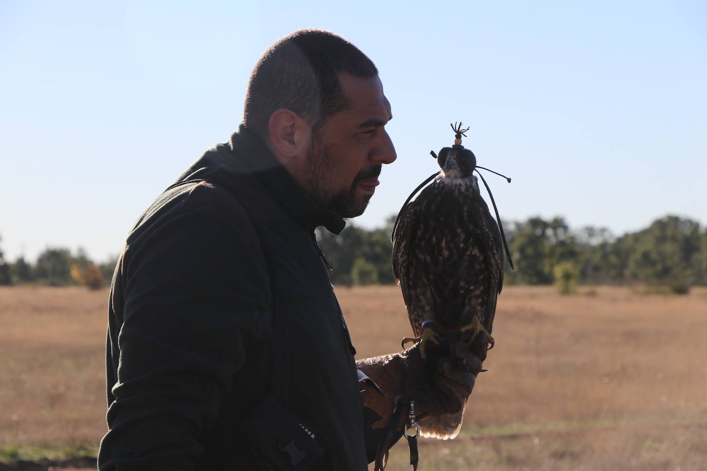 Los amantes de la aves se citan en la virgen del camino por la XXVI edición de las Jornadas Internacionales de Cetrería del Norte, tres días únicos en los que más de 10.000 personas disfrutarán de los vuelos de aves de caza, mercado y un sinfín de actividades . 