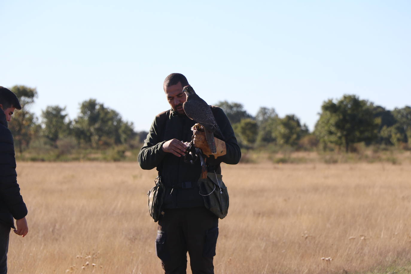 Los amantes de la aves se citan en la virgen del camino por la XXVI edición de las Jornadas Internacionales de Cetrería del Norte, tres días únicos en los que más de 10.000 personas disfrutarán de los vuelos de aves de caza, mercado y un sinfín de actividades . 