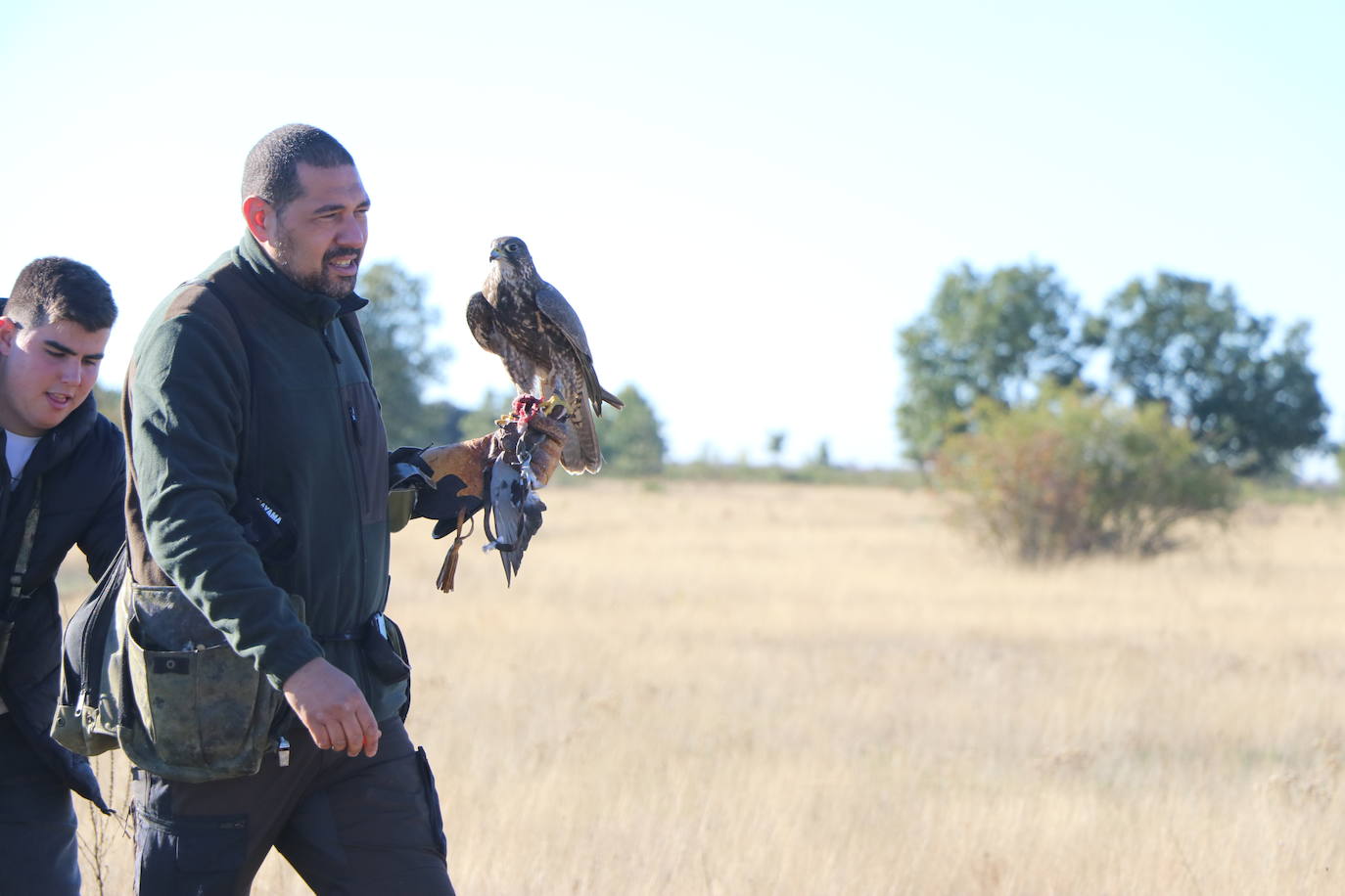 Los amantes de la aves se citan en la virgen del camino por la XXVI edición de las Jornadas Internacionales de Cetrería del Norte, tres días únicos en los que más de 10.000 personas disfrutarán de los vuelos de aves de caza, mercado y un sinfín de actividades . 