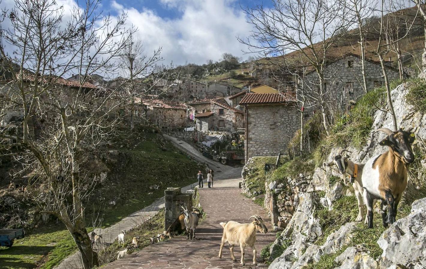 Tresviso (Cantabria): Este pueblo, no solo destaca por estar considerado uno de los más aislados de Cantabria, sino también por su historia capaz de remontarse a la Edad Media y sobre todo por su belleza. Un verdadero refugio entre montañas, al que para acceder en coche es necesario partir por carretera desde el pueblo asturiano de Sotres, mientras que para acceder a pie puede hacerse partiendo desde el río Urdón por una de esas rutas de senderismo que merecen mucho la pena. Al llegar a este remoto pueblo, el visitante se encontrará con un lugar alejado de las prisas y de los ruidos, que ronda los 60 habitantes y que hace las veces de un espectacular balcón a los Picos de Europa. Un lugar de cuento en plena comarca de Liébana, en el que merece la pena hacer una parada.