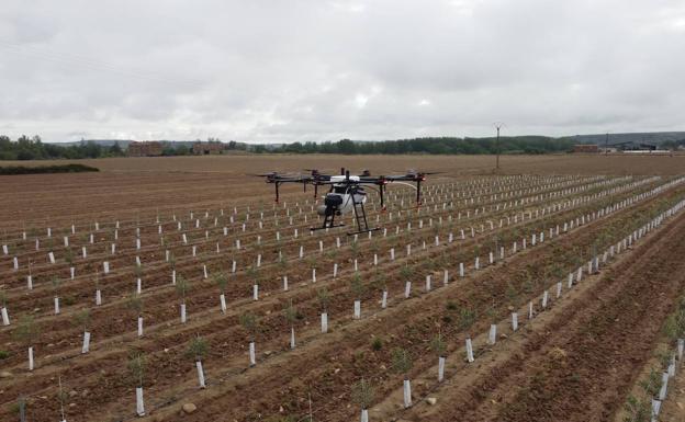 Imagen principal - Baltor es pionero en el uso de drones en el campo. 