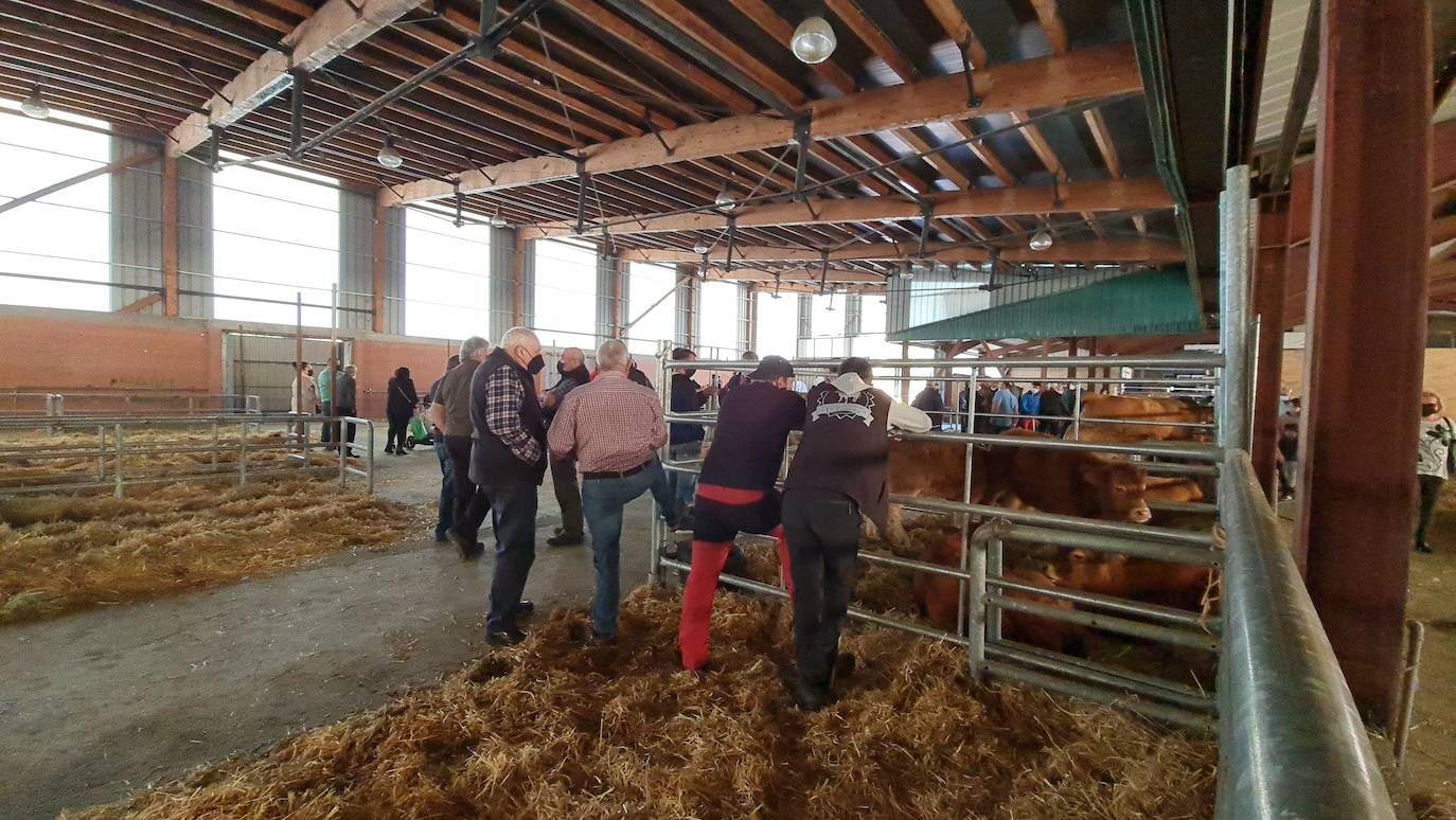 'Pulpadas', Feria de Ganado y más de 200 puestos llenan de color el Valle de Laciana.