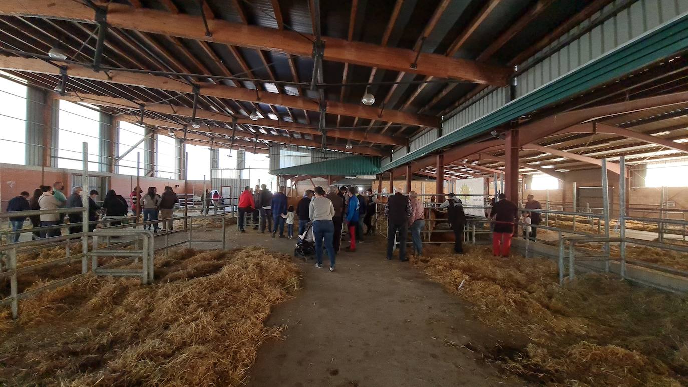 'Pulpadas', Feria de Ganado y más de 200 puestos llenan de color el Valle de Laciana.