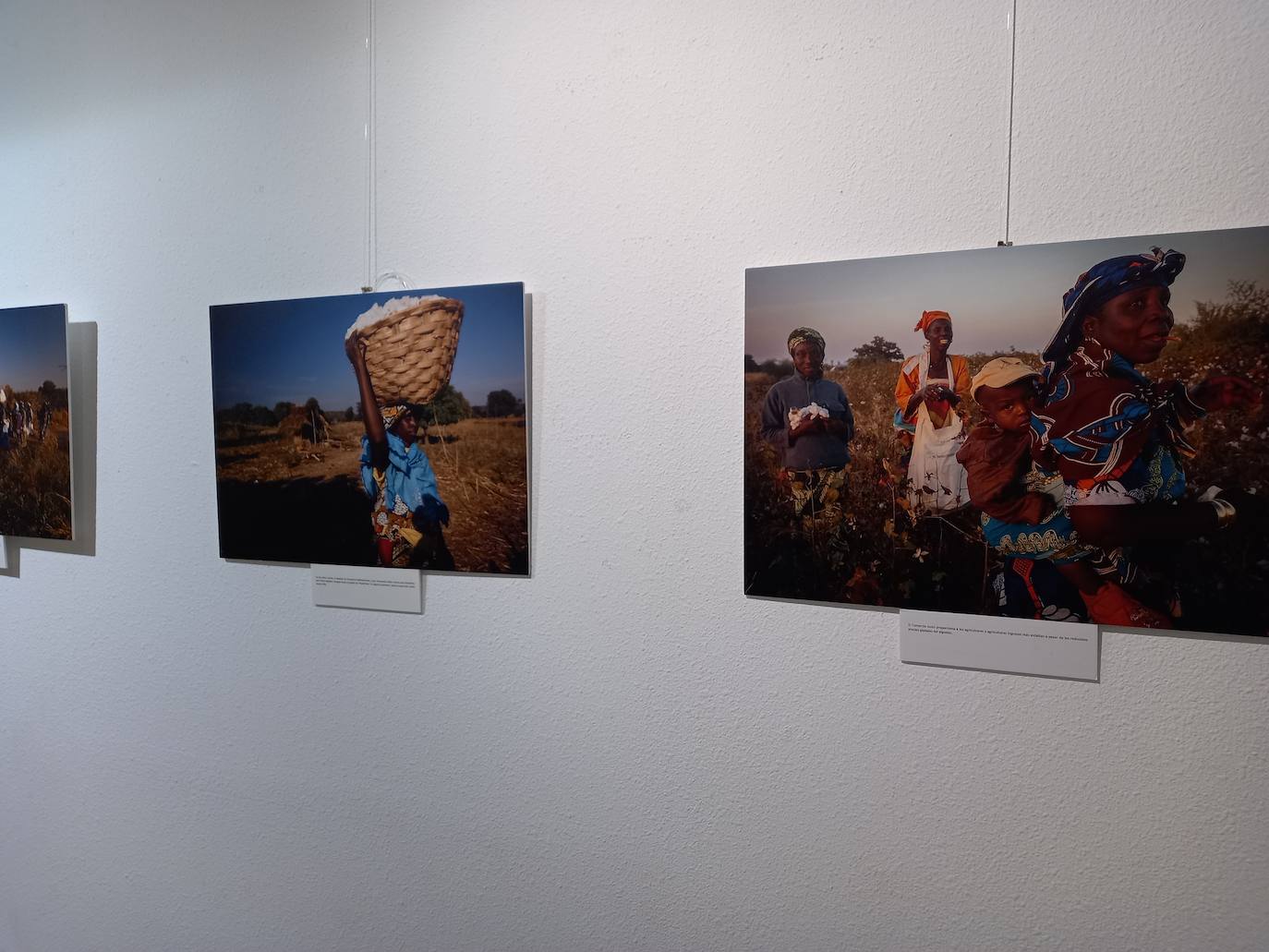 La Casa de Cultura de Trobajo del Camino acoge esta muestra de concienciación sobre el comercio justo.