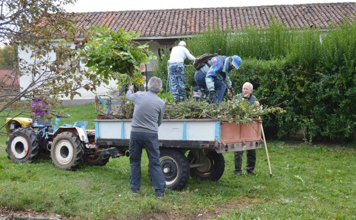 Voluntarios de la asociación limpian el entorno del monasterio.