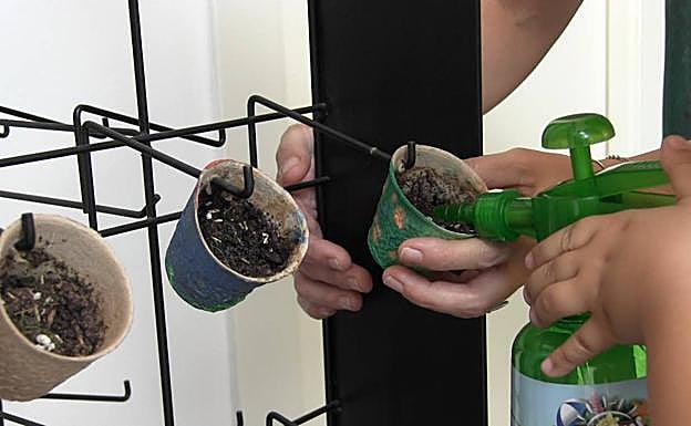 Imagen principal - Bill y Lula, un lugar para crecer con calma. 