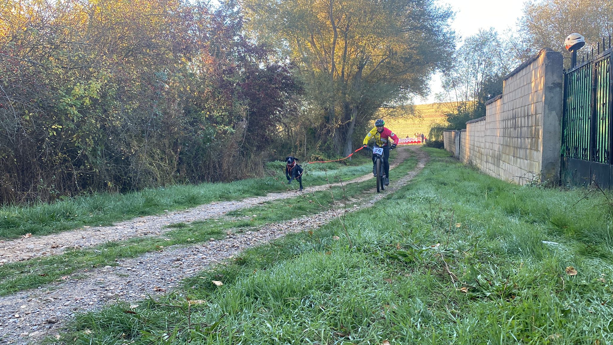 125 participantes de cuatro disciplinas han rodado con sus perros en la mañana de este domingo por las tierras de la Sobarriba.