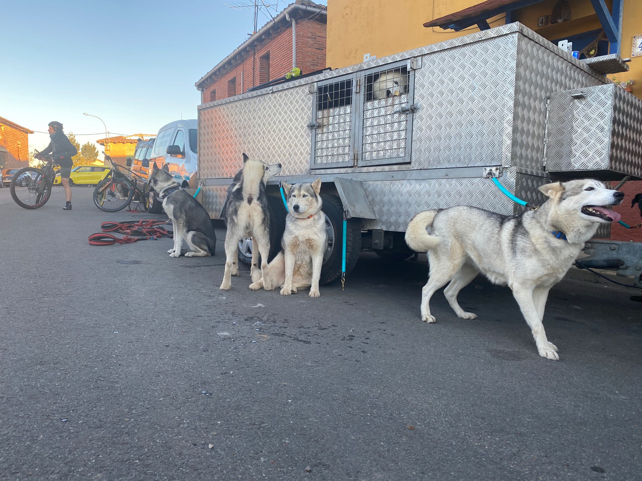 125 participantes de cuatro disciplinas han rodado con sus perros en la mañana de este domingo por las tierras de la Sobarriba.