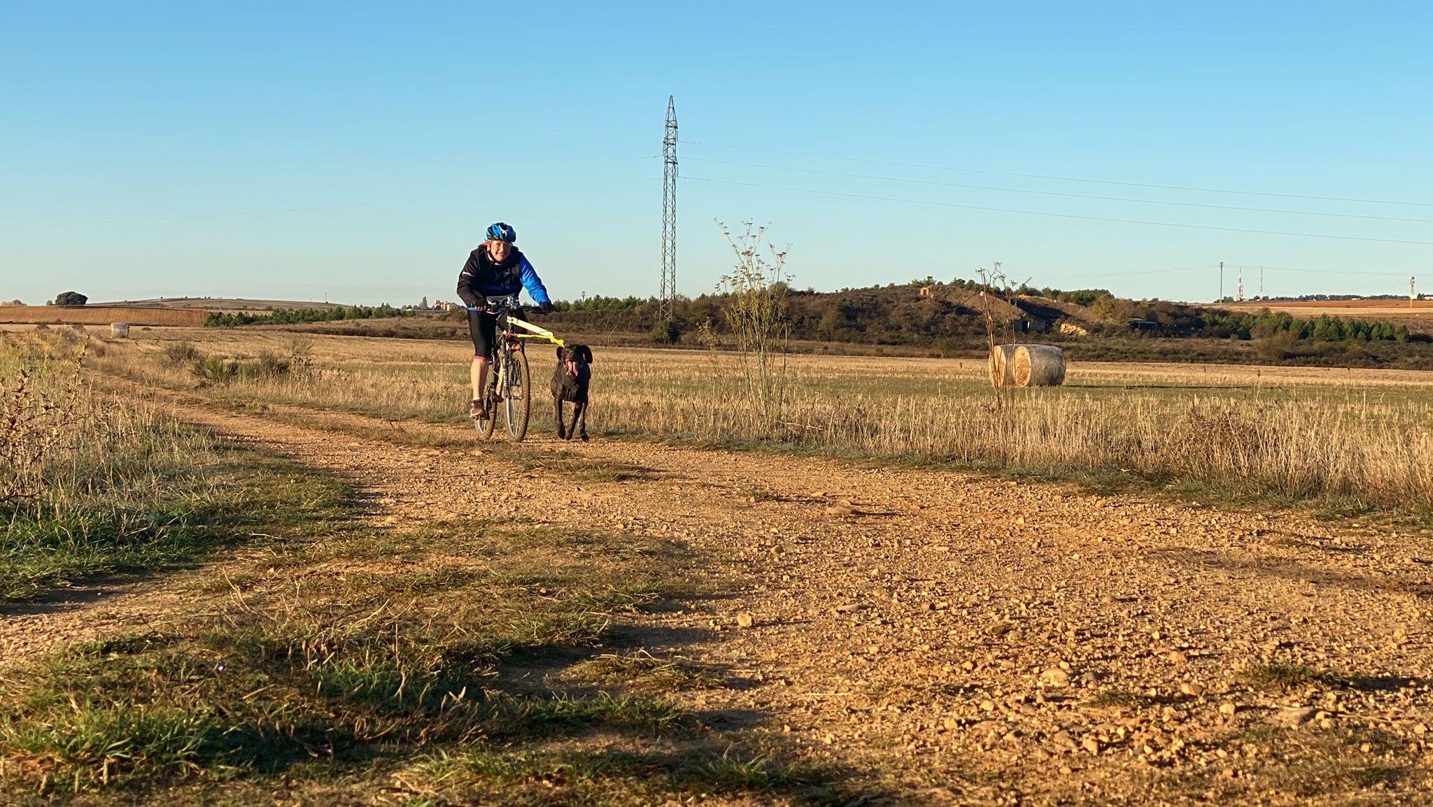 125 participantes de cuatro disciplinas han rodado con sus perros en la mañana de este domingo por las tierras de la Sobarriba.