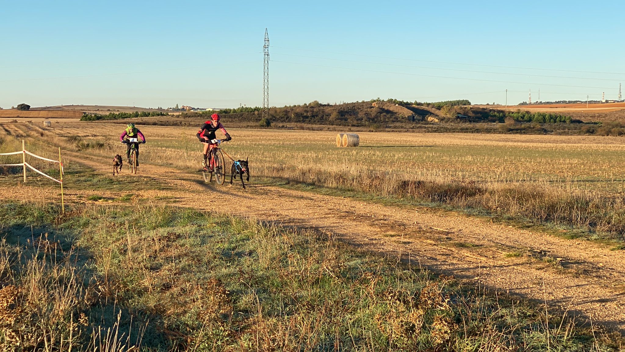 125 participantes de cuatro disciplinas han rodado con sus perros en la mañana de este domingo por las tierras de la Sobarriba.
