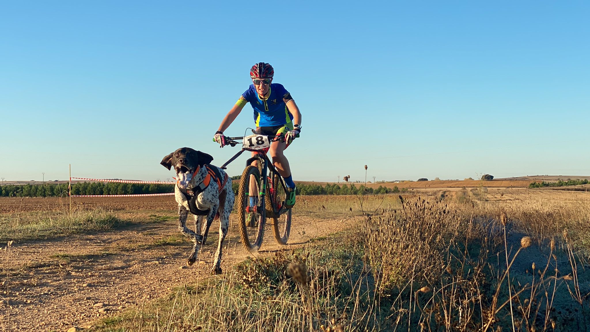 125 participantes de cuatro disciplinas han rodado con sus perros en la mañana de este domingo por las tierras de la Sobarriba.