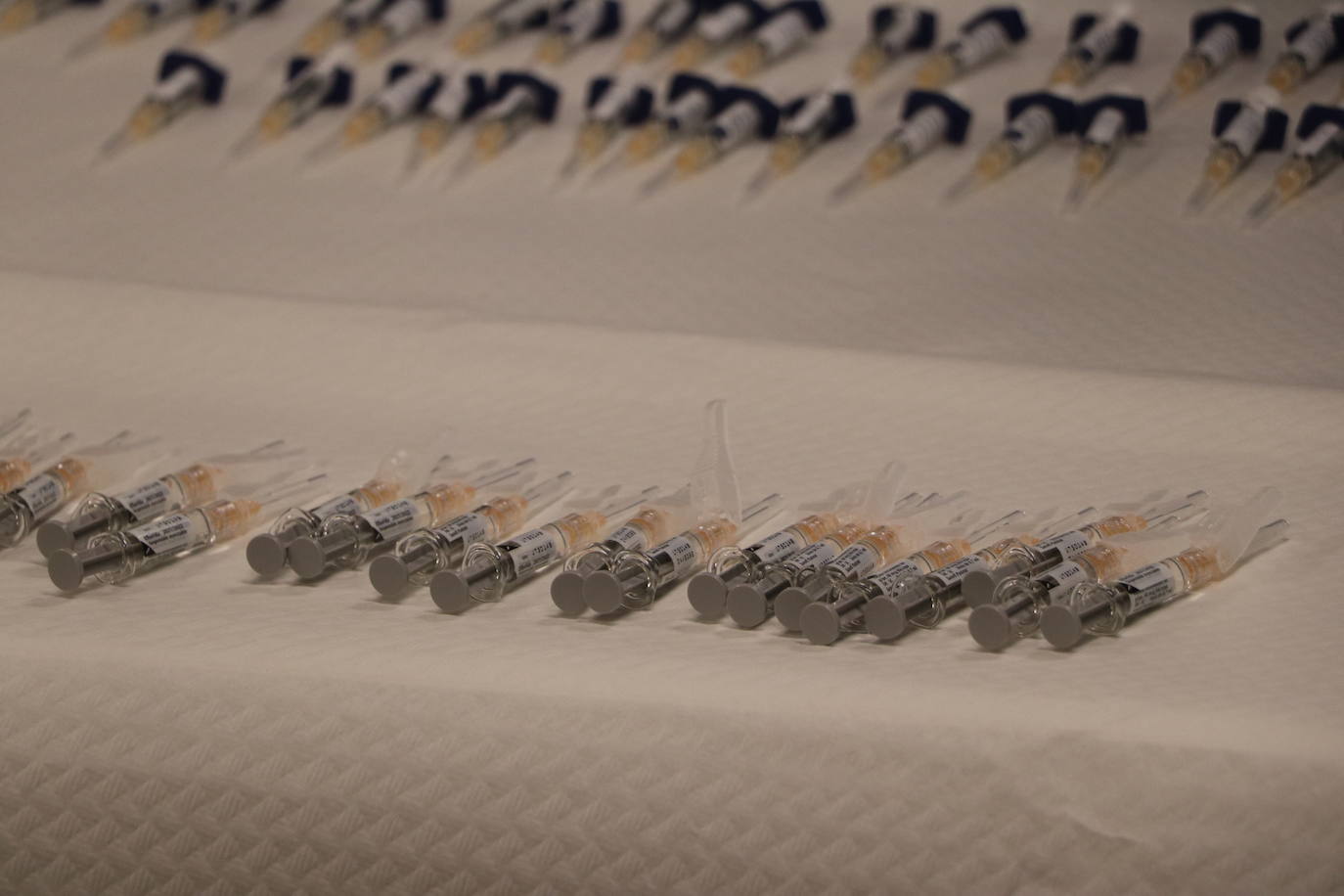 El objetivo es superar las 120.000 dosis inoculadas en el pasado año y proteger a un buen número de población.