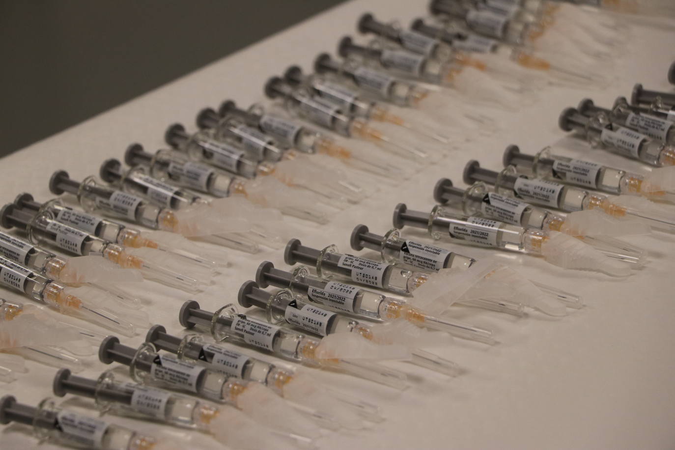 El objetivo es superar las 120.000 dosis inoculadas en el pasado año y proteger a un buen número de población.