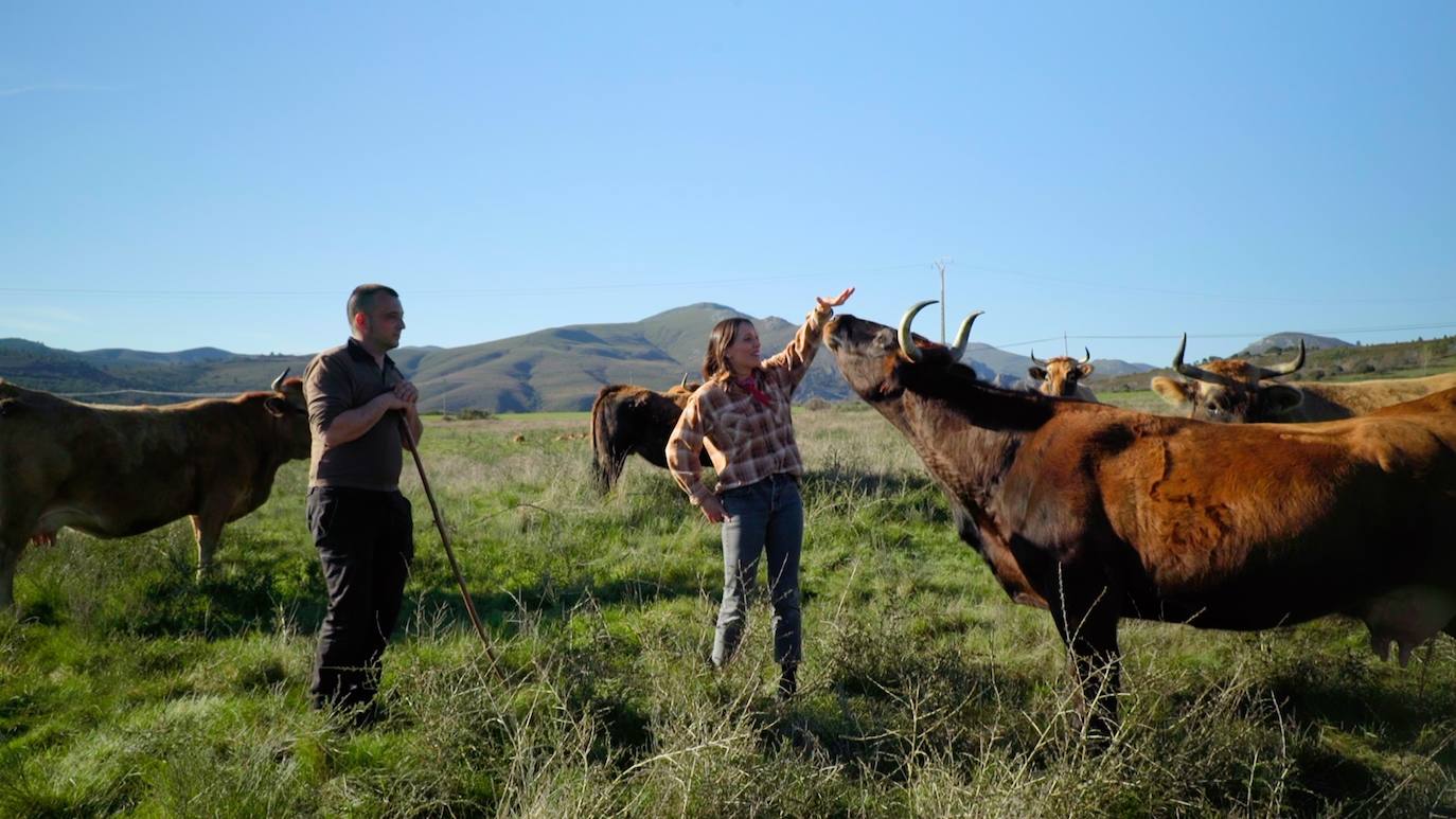 El programa conocerá los nuevos proyectos de gandería sostenible en El Bierzo. 