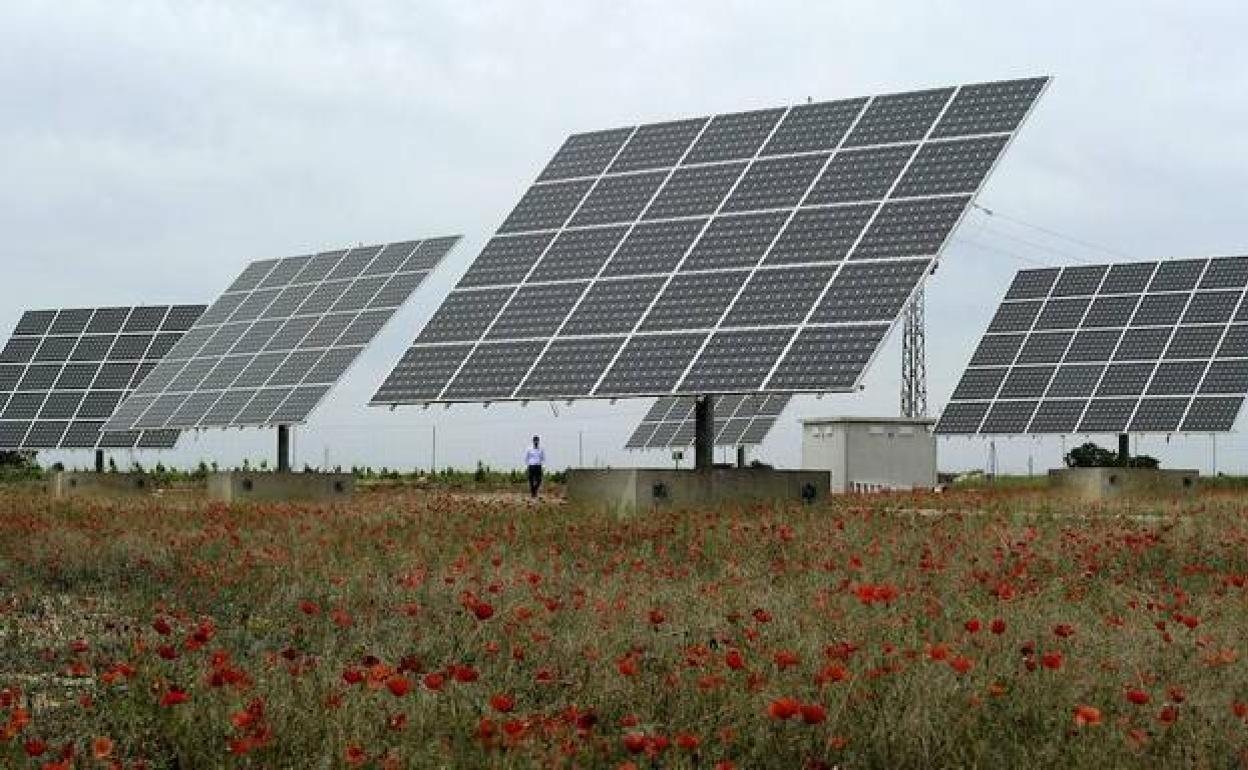 Estas dos plantas contarán, en total, con casi 222.000 módulos fotovoltaicos como los de la imagen.