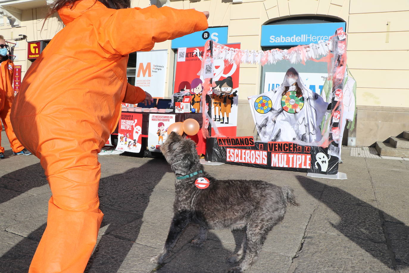 Fotos: Todo León contra el fantasma de la esclerosis múltiple