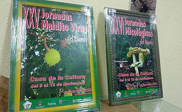 Carteles de la XXV y XXVI edició de las Jornadas Micológicas.