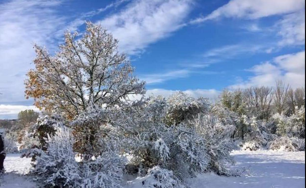 Las nevadas se seguirán produciendo durante toda la jornada.