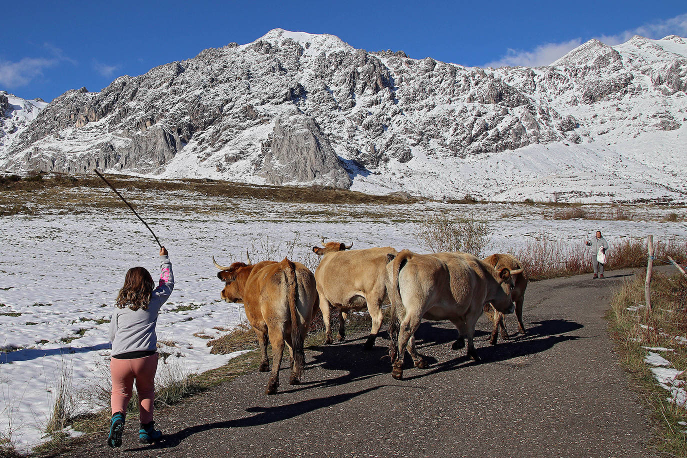 La primera nevada de la temporada cubre cumbres y valles en la comarca de la Tercia.