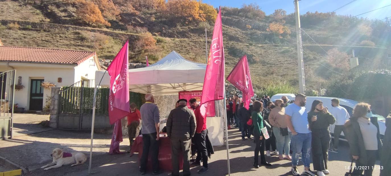 Fotos: Stand de Conceyu en Vegacervera