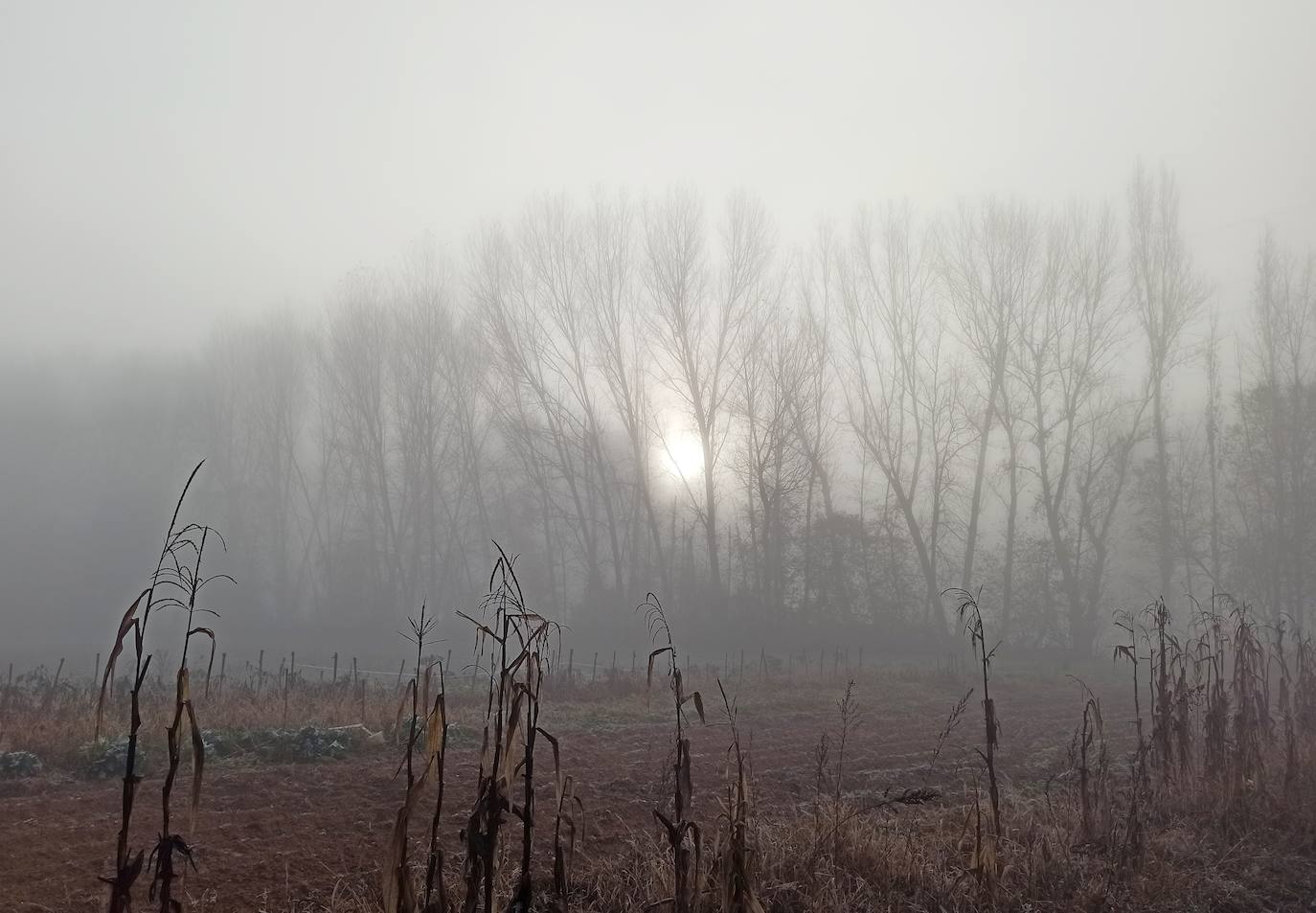 La comarca despierta con una intensa niebla este miércoles.