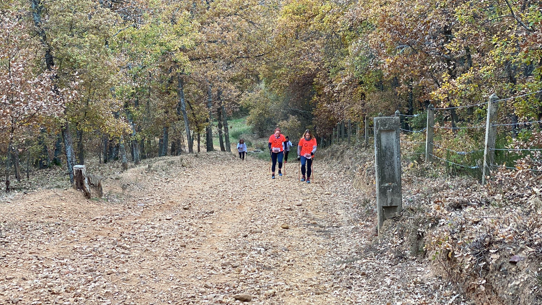 La Trail Fashion Week ha combinado deportes, música y moda en una tarde con un fin único: recaudar fondos para la investigación de la esclerosis múltiple.