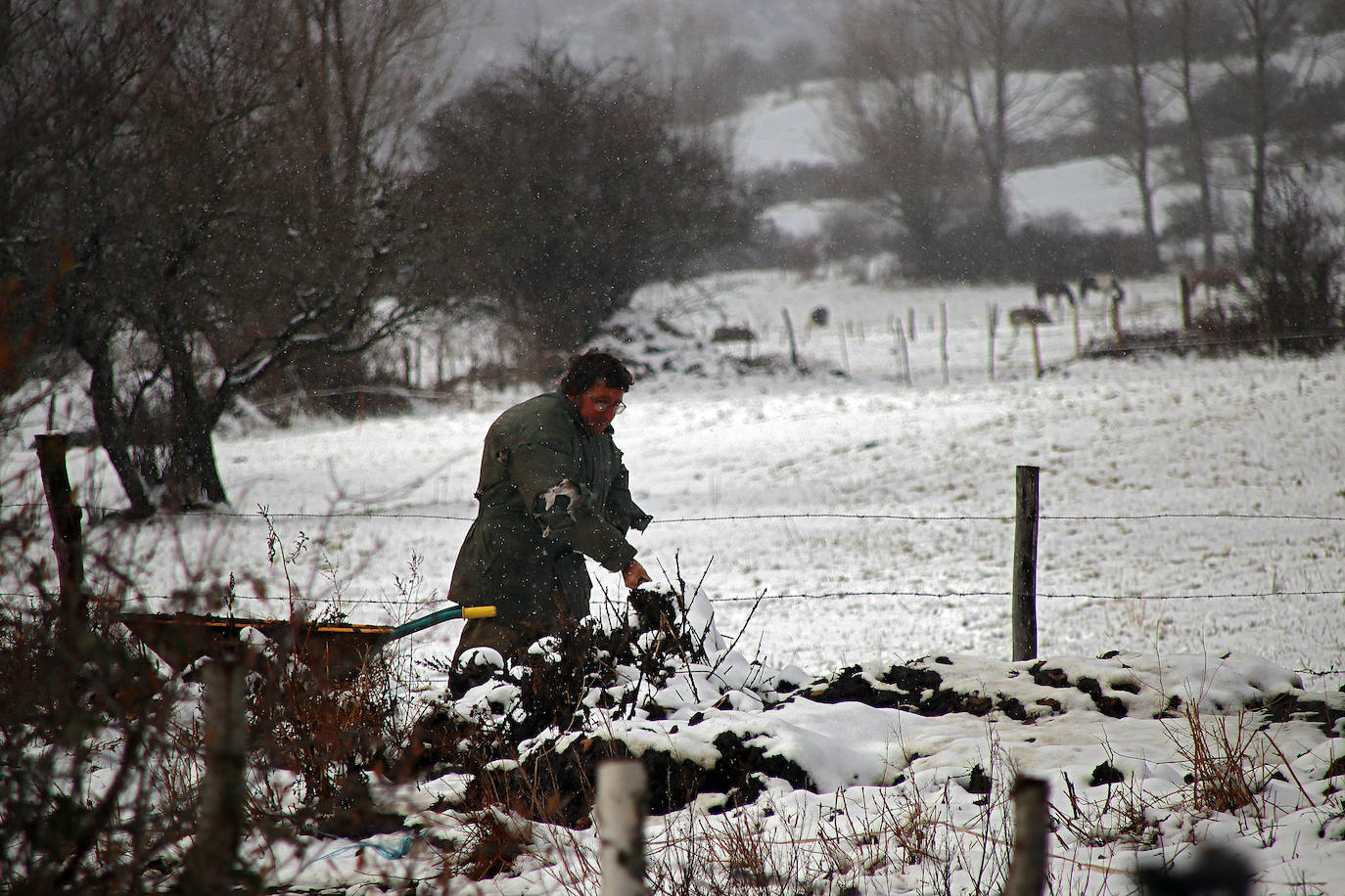 La nieve cubre las campas de Rodiezmo donde el expresidente Zapatero daba sus tradicionales mitines.