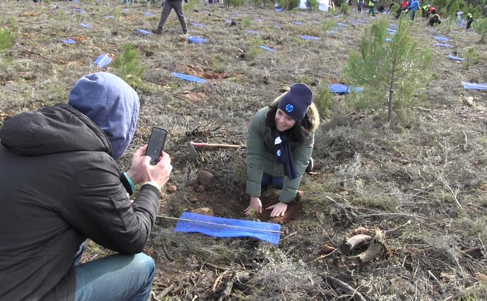 Una mujer planta un árbol en la zona afectada por el incendio de Castrocontrigo en 2012, donde se quemaron 12.000 hectáreas de superficie arbolada.