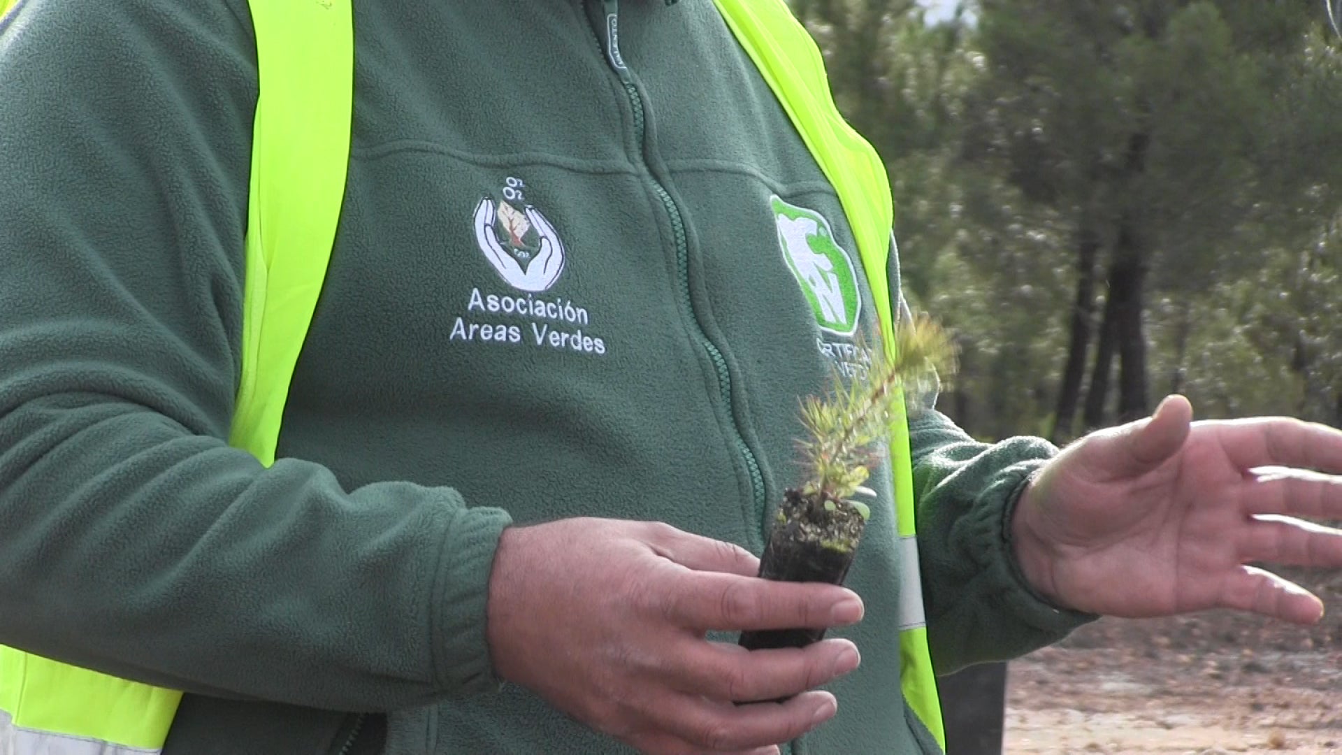 Decenas de personas participan en la plantación de árboles en el área arrasada por el incendio de Castrocontrigo.