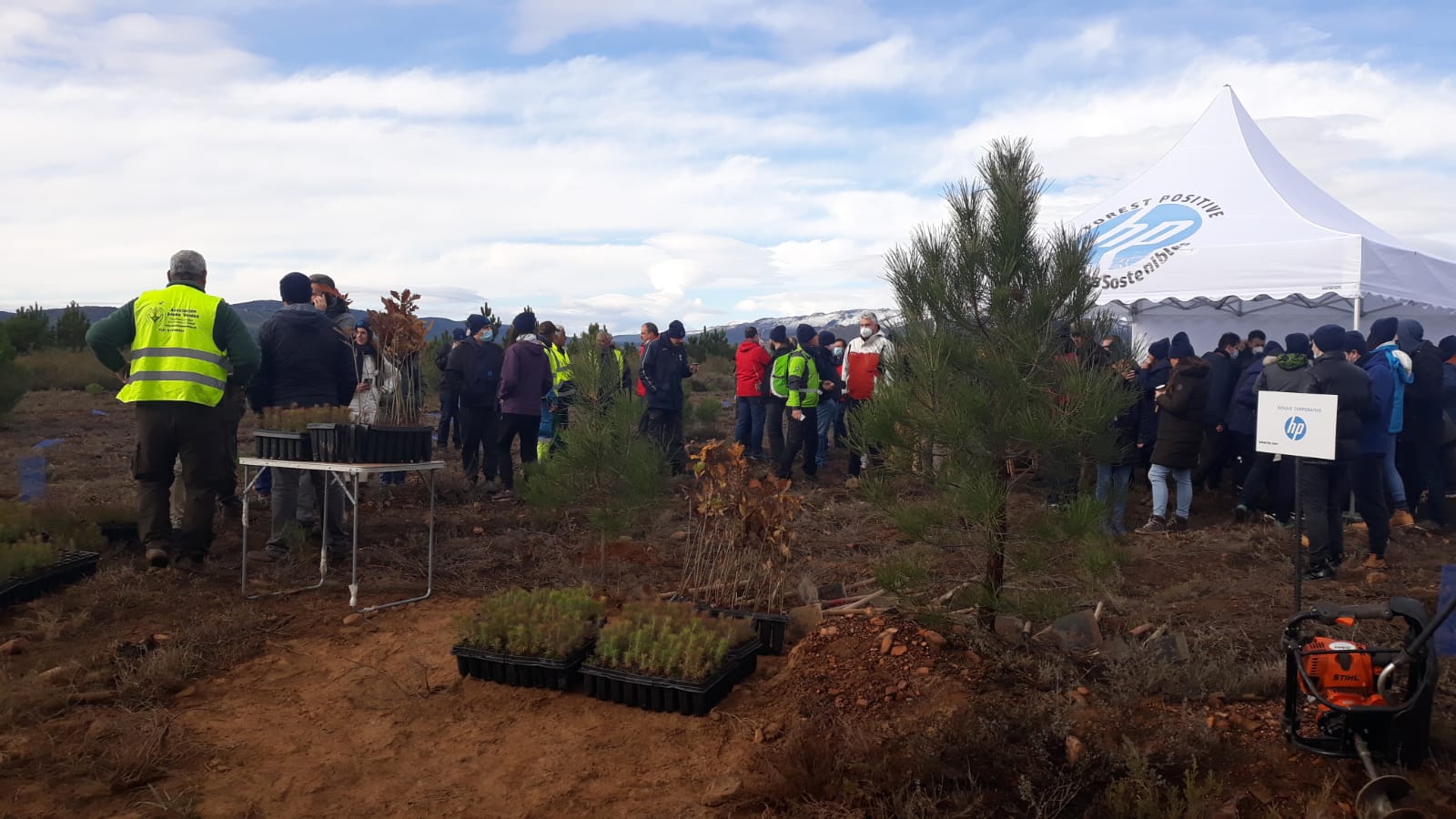 Decenas de personas participan en la plantación de árboles en el área arrasada por el incendio de Castrocontrigo.