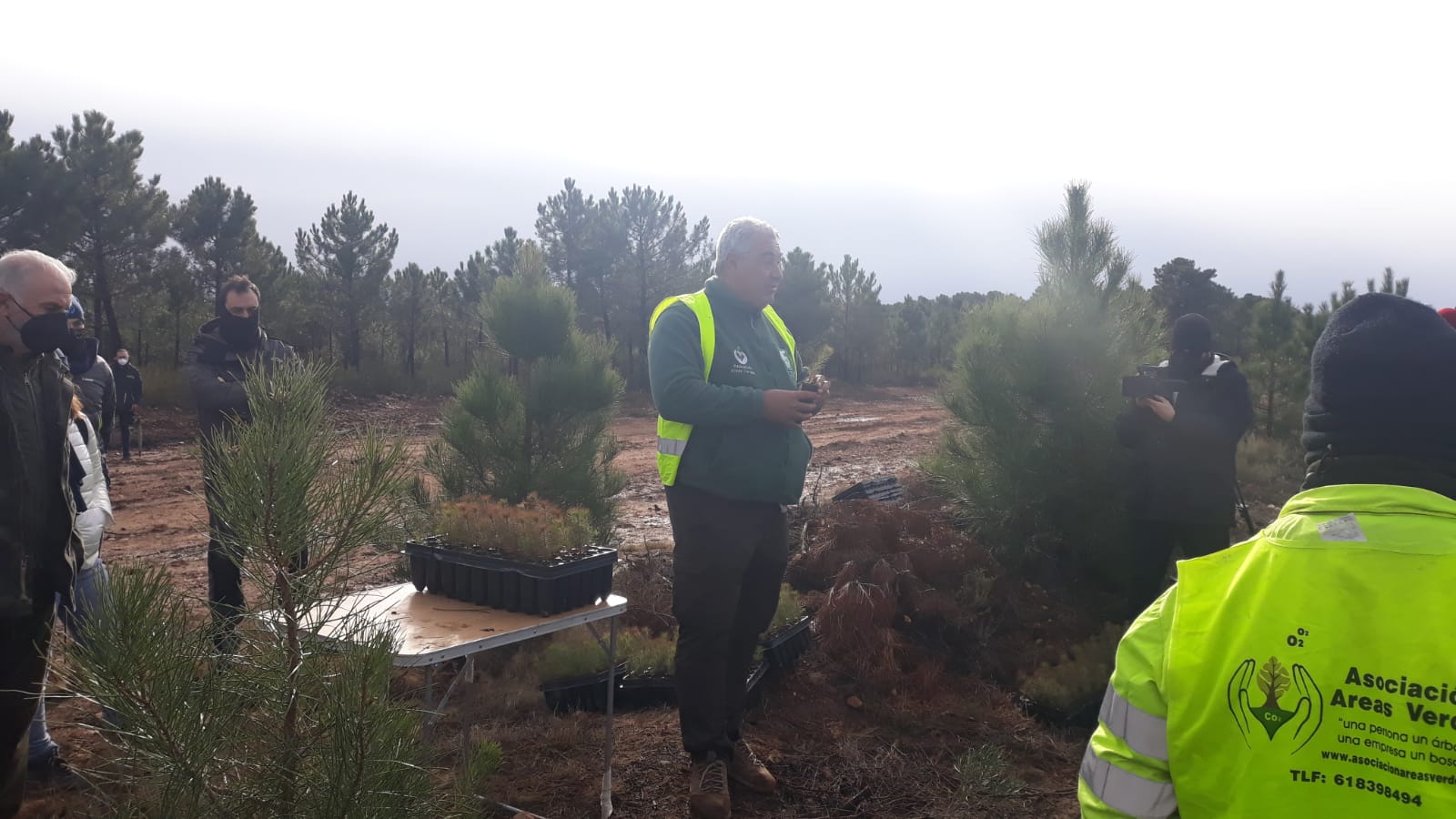 Decenas de personas participan en la plantación de árboles en el área arrasada por el incendio de Castrocontrigo.