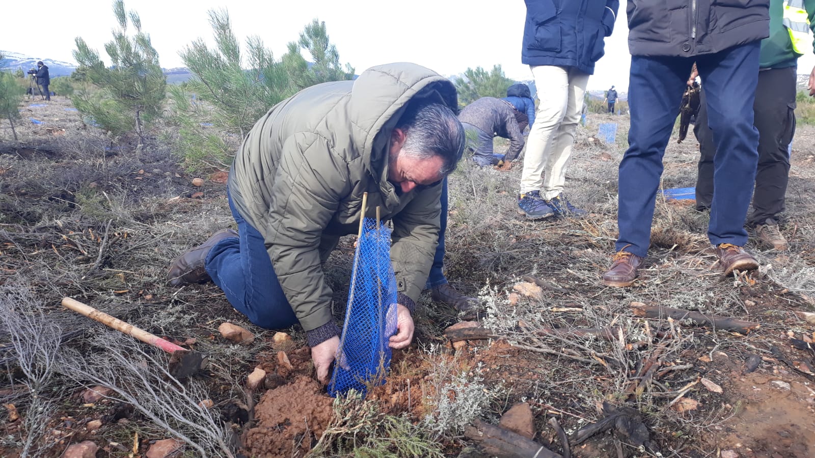 Decenas de personas participan en la plantación de árboles en el área arrasada por el incendio de Castrocontrigo.