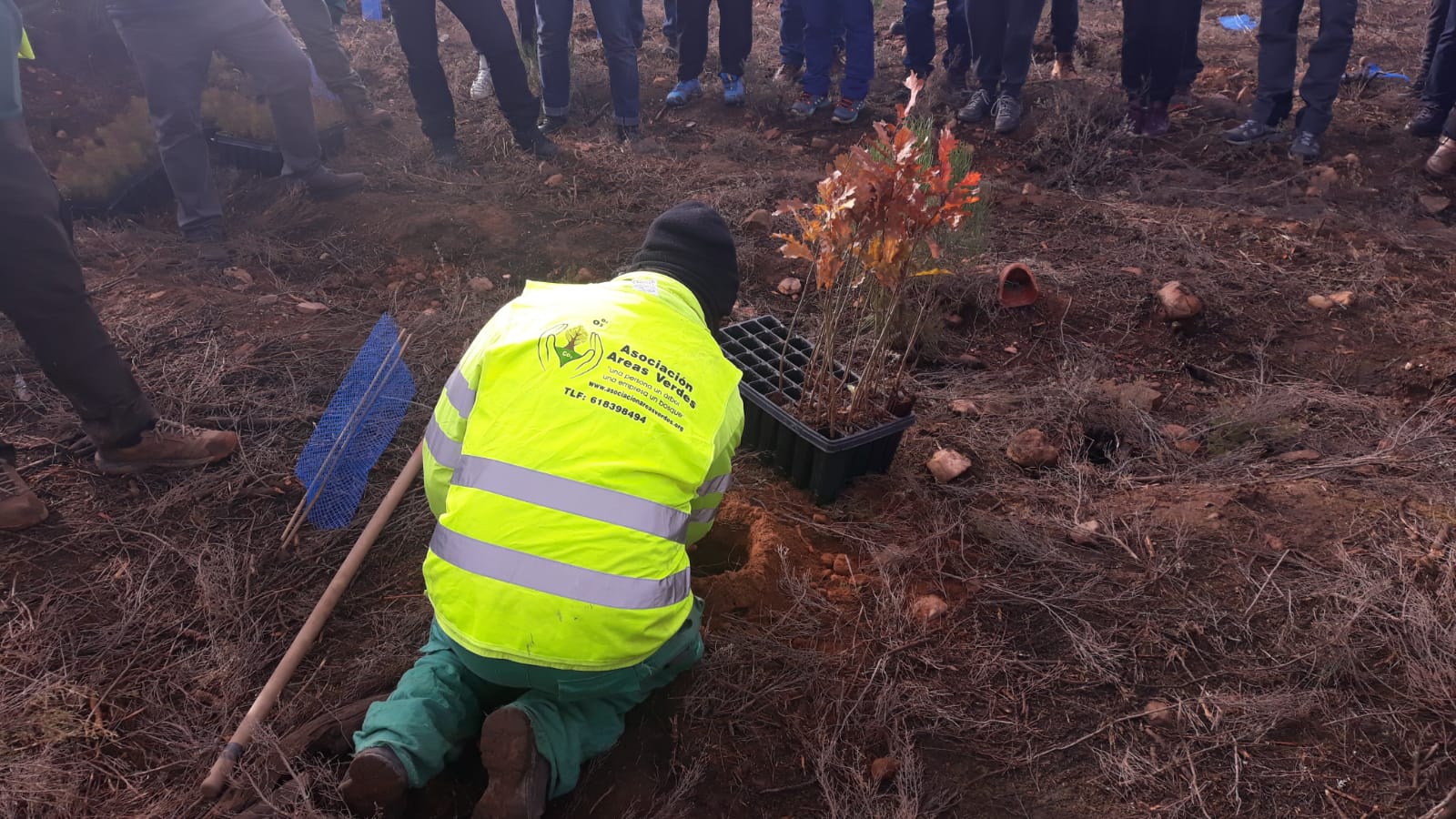 Decenas de personas participan en la plantación de árboles en el área arrasada por el incendio de Castrocontrigo.