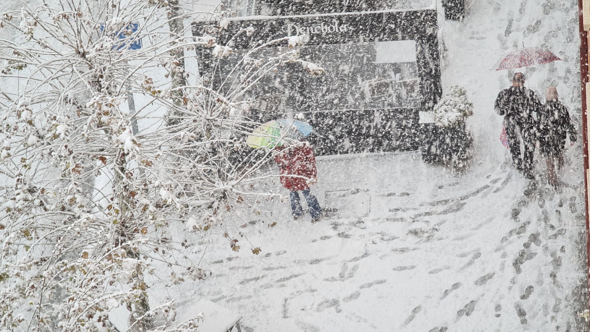 Fotos: Los primeros copos de nieve en León