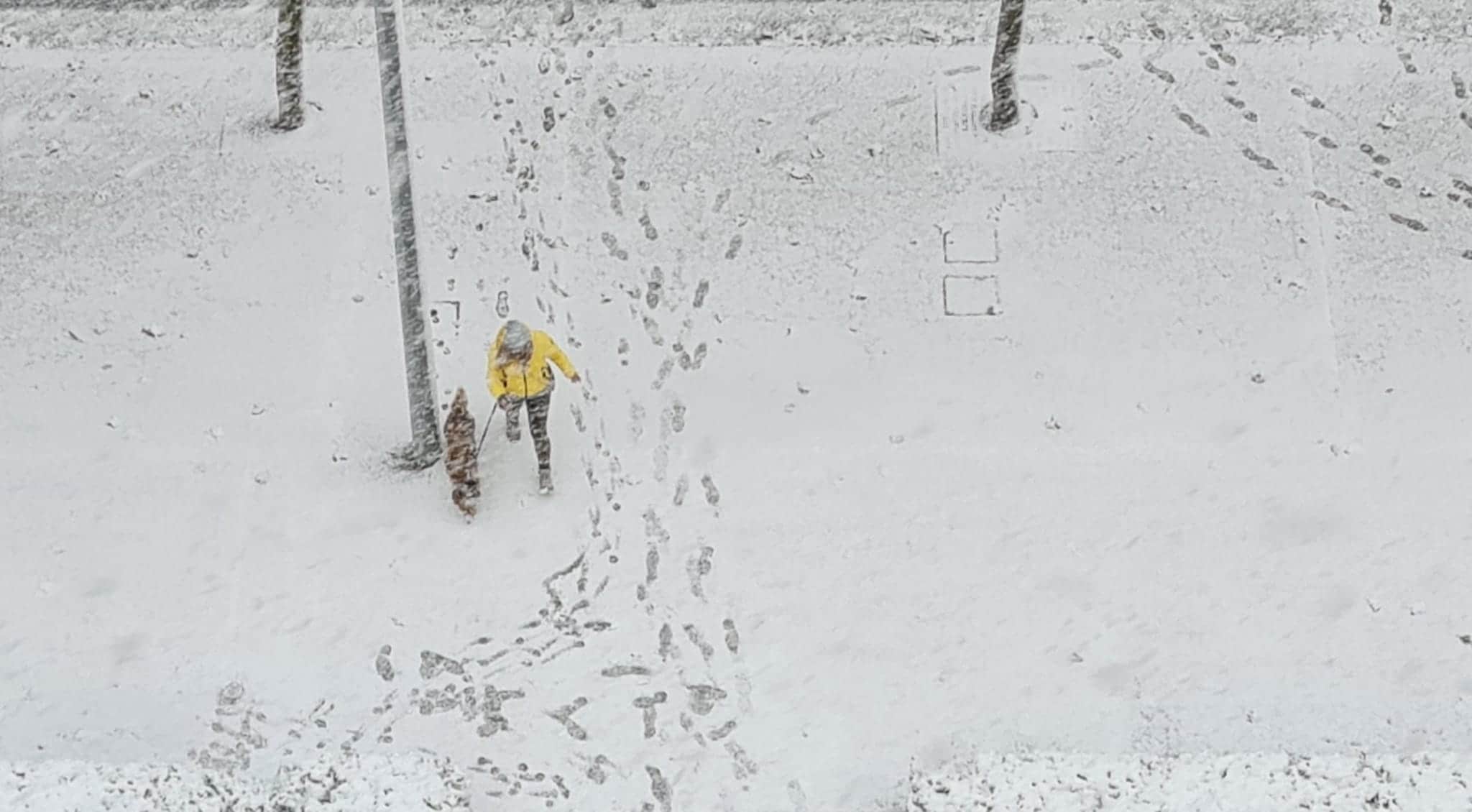 Fotos: Los primeros copos de nieve en León