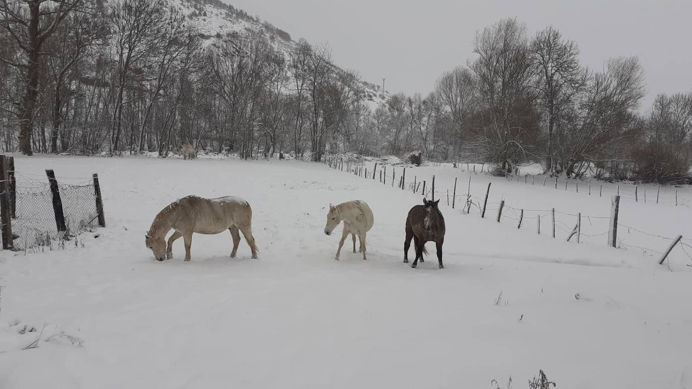 El temporal 'Arwen' deja estampas invernales en toda la provincia con precipitaciones de nieve en muchas comarcas leonesas.