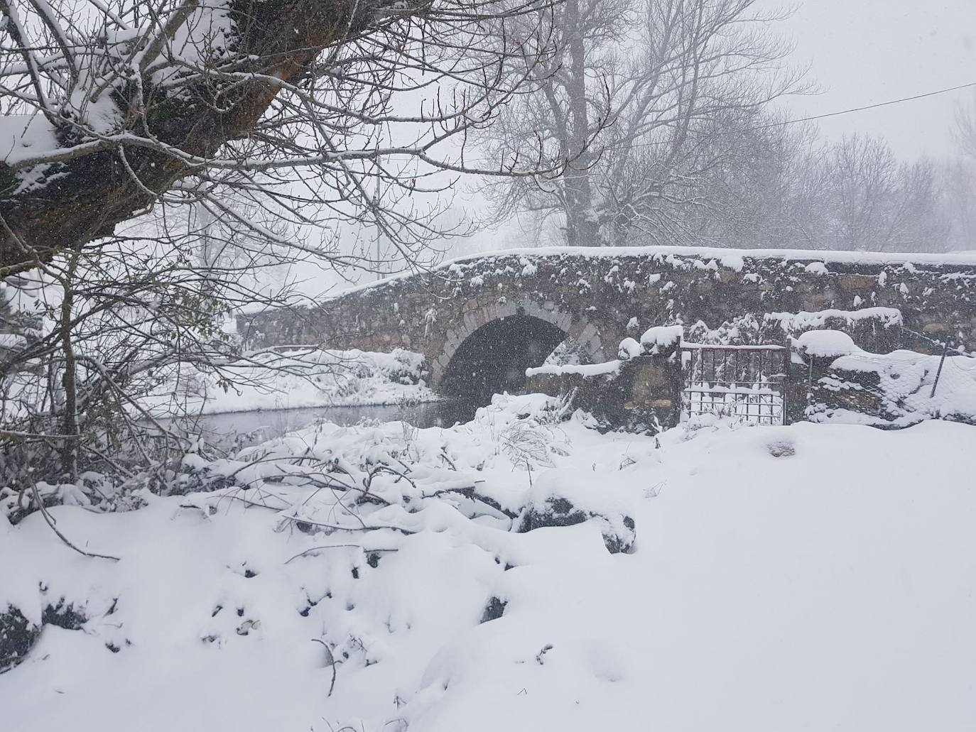 El temporal 'Arwen' deja estampas invernales en toda la provincia con precipitaciones de nieve en muchas comarcas leonesas.