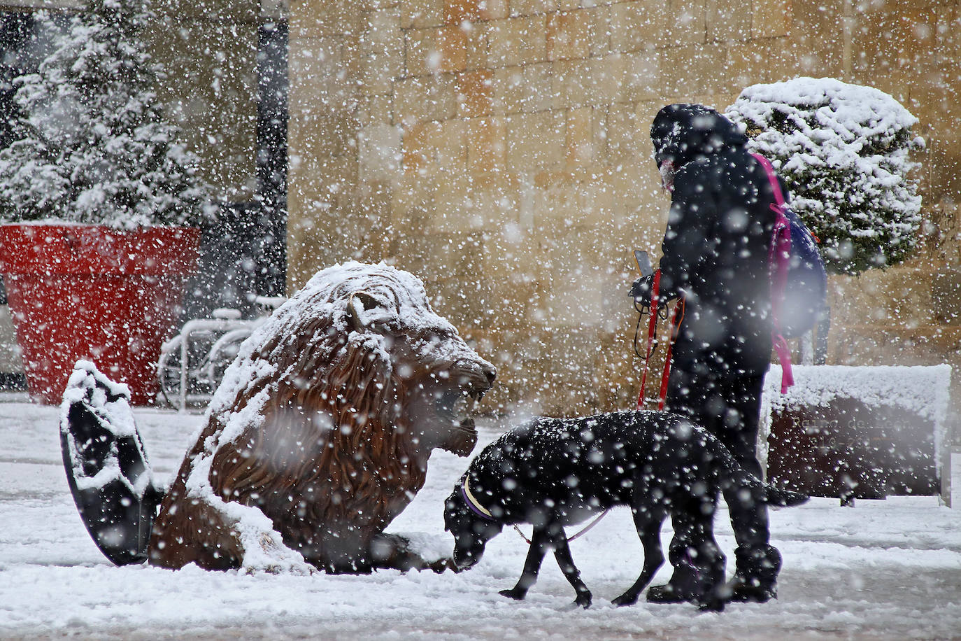 El temporal 'Arwen' llega a la capital con una fuerte nevada que deja las primera bonitas estampas en la ciudad