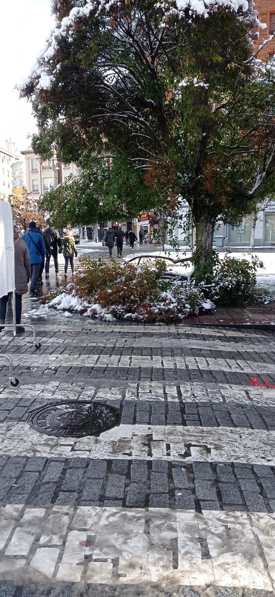 Los comerciantes del rastro dominical se han concentrado este domingo a las puertas del paseo de Papalaguinda donde tendrían que estar los puestos del mercadillo