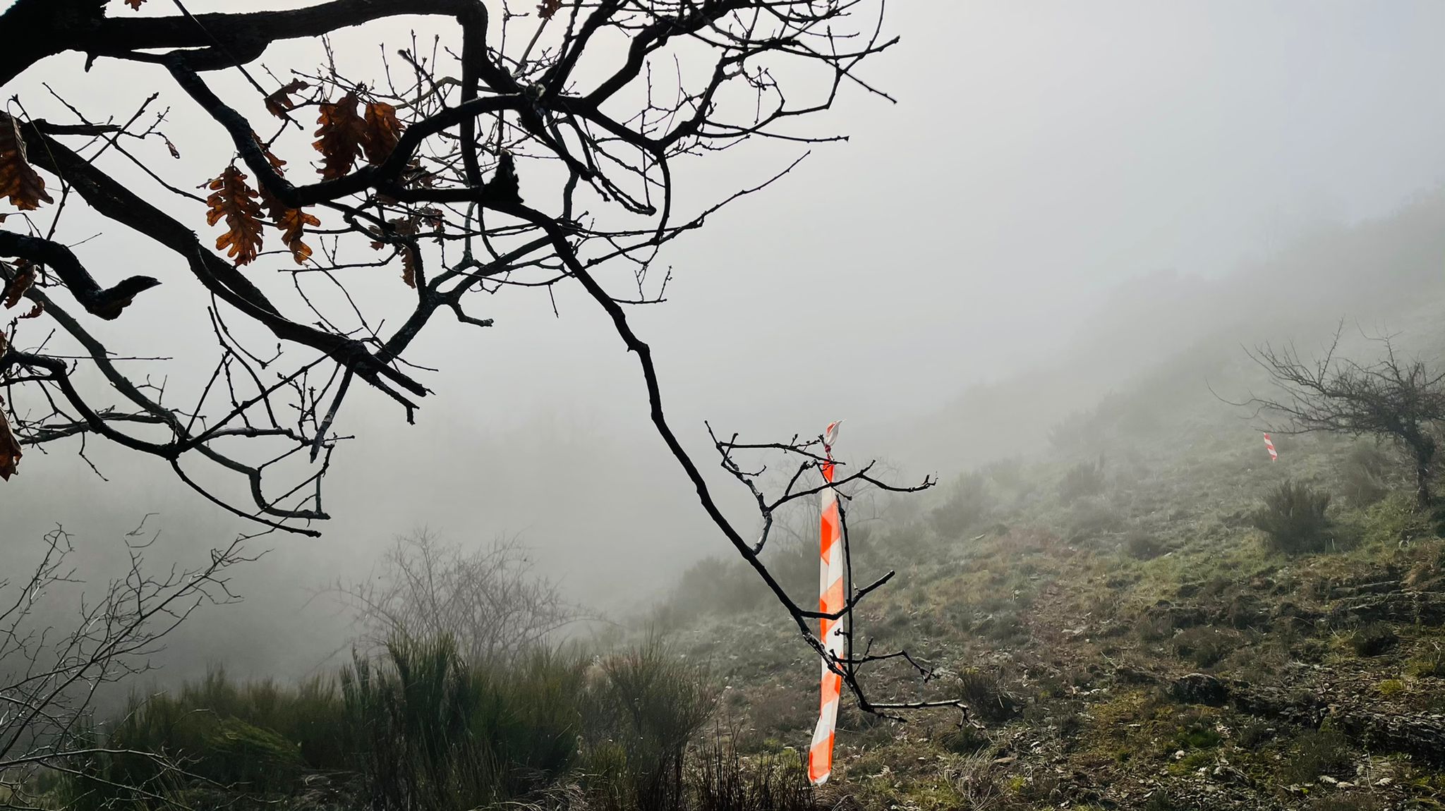 Varios amigos lideran una iniciativa que ha permitido a los amantes del trail disfrutar del entorno del valle de Gordón.