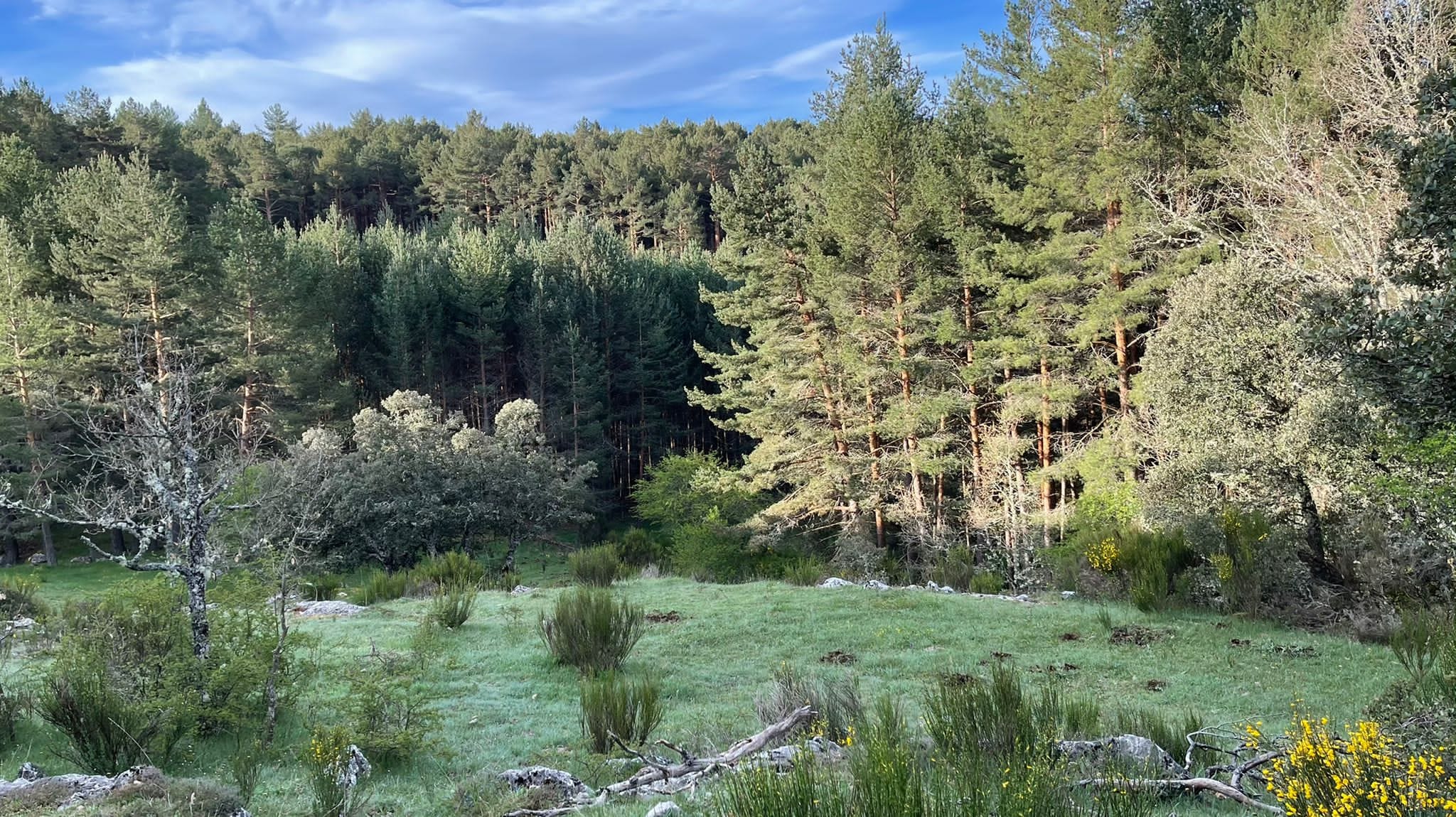 Varios amigos lideran una iniciativa que ha permitido a los amantes del trail disfrutar del entorno del valle de Gordón.