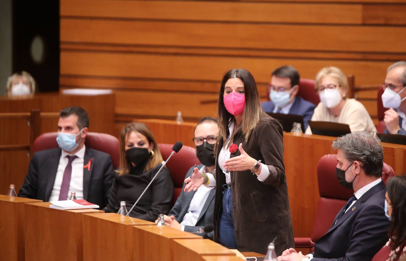 El presidente de ja Junta, Alfonso Fernández Mañueco, y el vicepresidente, Francisco Igea, durante el Pleno de las Cortes junto a otros procuradores.