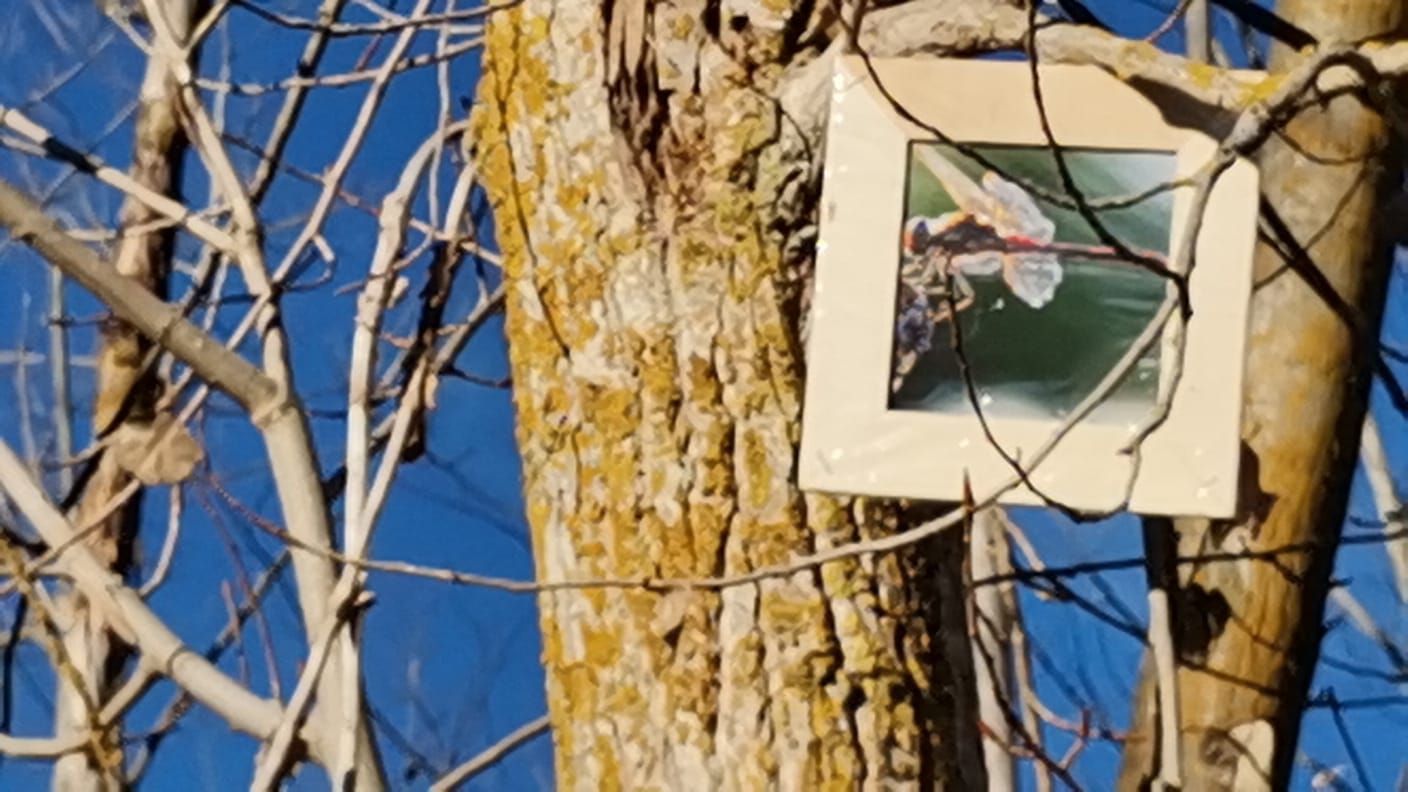 Un nutrido grupo de 70 artistas realizarán, durante los días del puente de la Constitución, una intervención artística con la naturaleza como motor.