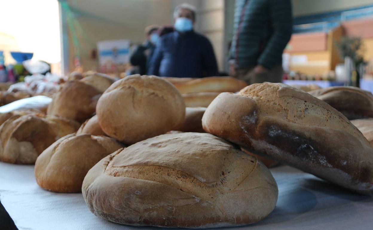 La feria agroalimentaria acoge a 30 expositores de la provincia de León. 