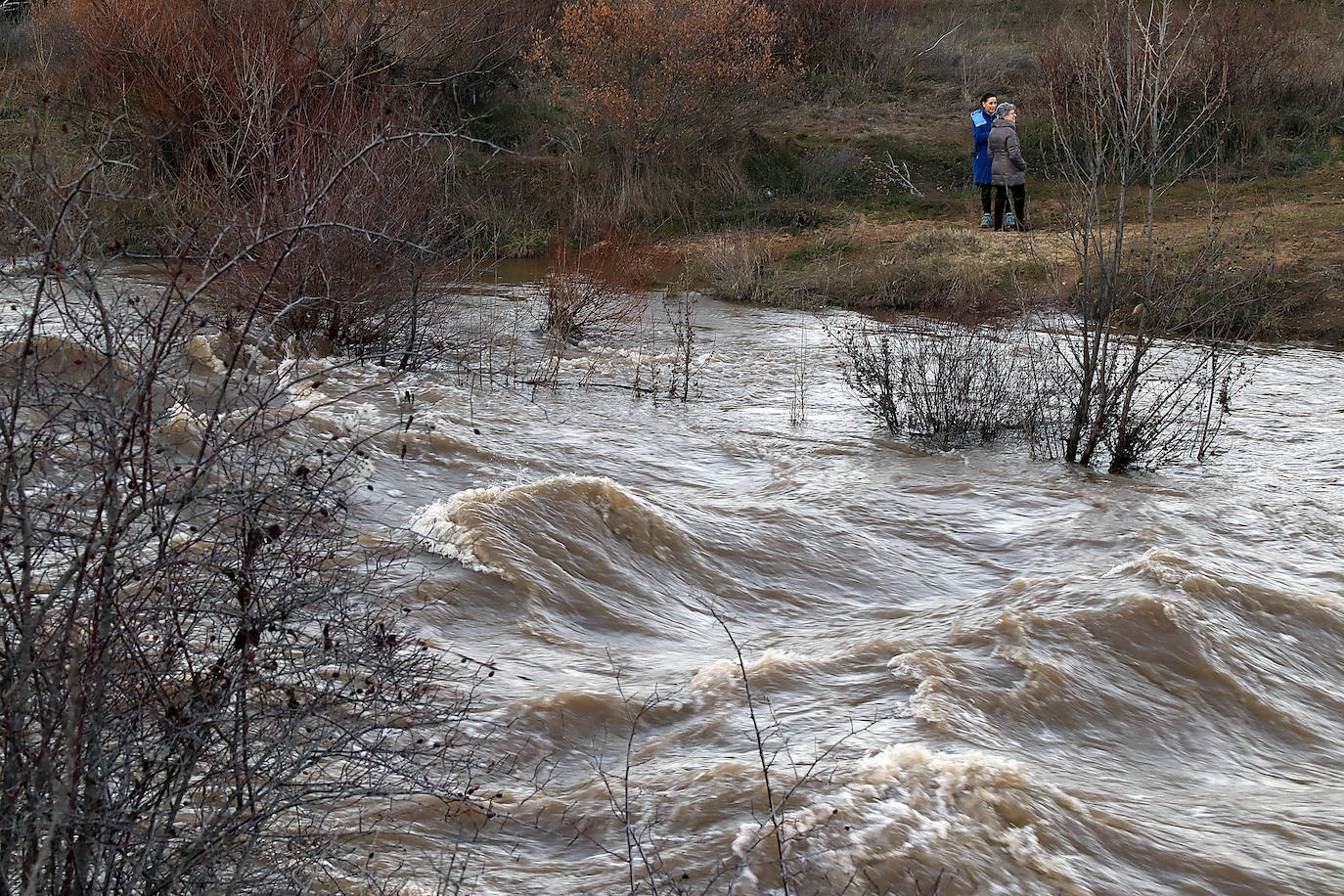 Crecida del río Bernesga a su paso entre Villamanín y la capital leonesa