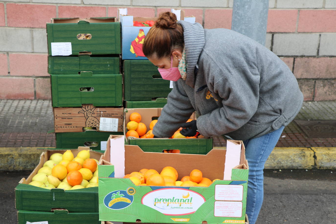 Desde el Banco de Alimentos de León señalan al sistema de donativos en caja como una de las causas de la disminución casi un 50% de lo recaudado respecto a 2020 y a la aparente 'nueva normalidad' que no es tal | Más de 1.000 familias se beneficiarán de estas donaciones fundamentales en fechas navideñas.