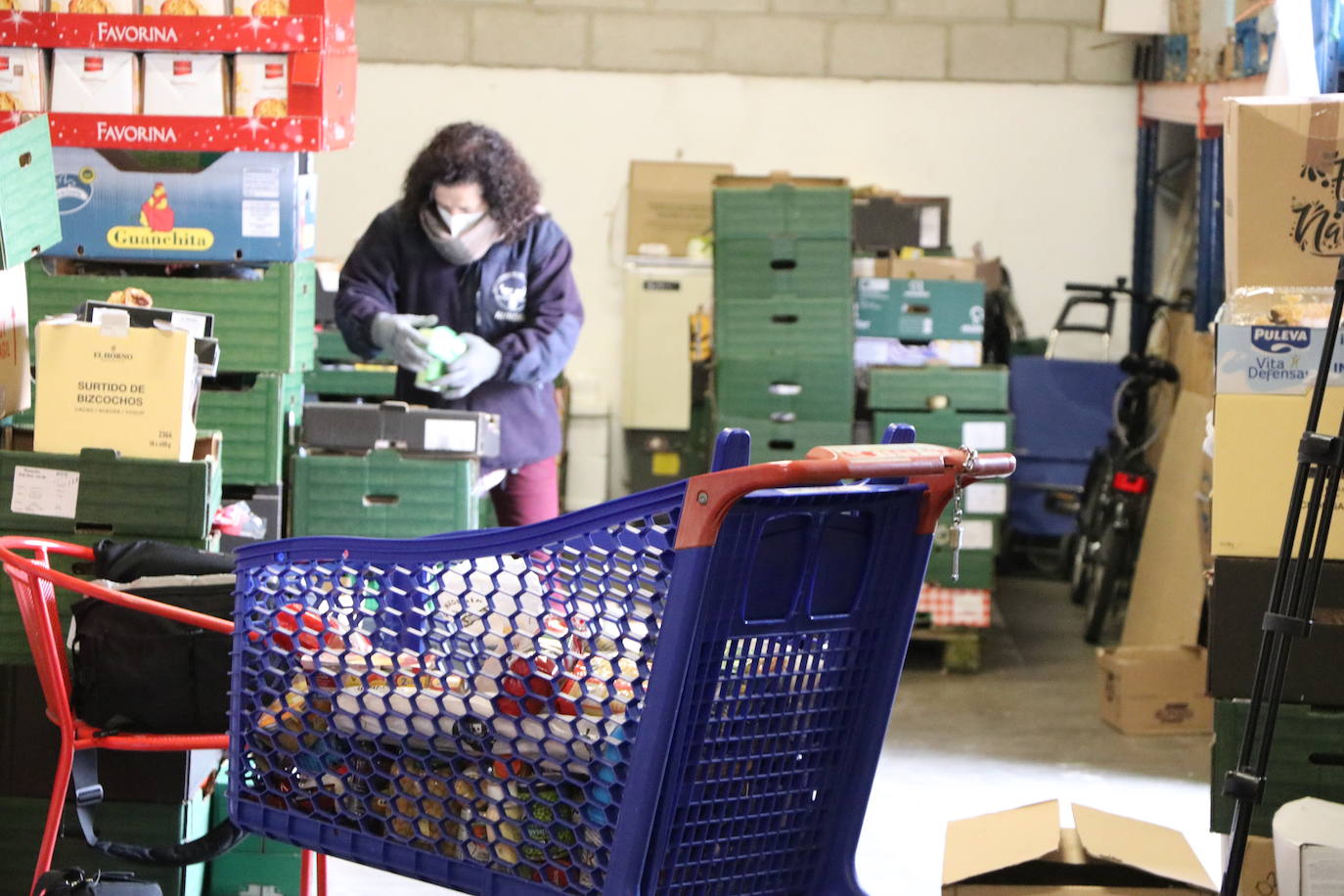 Desde el Banco de Alimentos de León señalan al sistema de donativos en caja como una de las causas de la disminución casi un 50% de lo recaudado respecto a 2020 y a la aparente 'nueva normalidad' que no es tal | Más de 1.000 familias se beneficiarán de estas donaciones fundamentales en fechas navideñas.